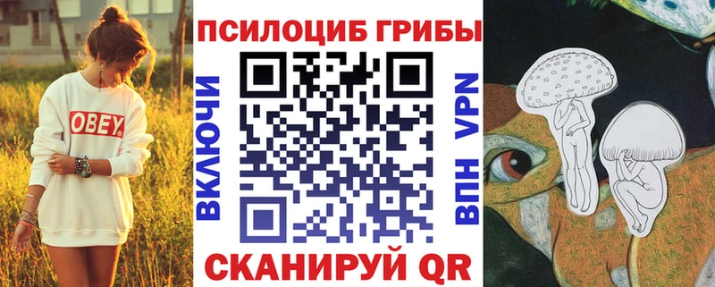 Галлюциногенные грибы GOLDEN TEACHER Белёв